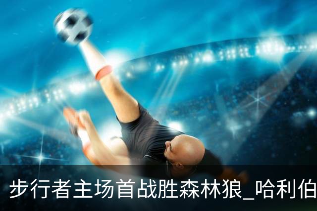 步行者主场首战胜森林狼 哈利伯顿复出贡献显著
